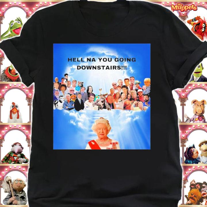 Big Dookie Hell Na You Going Downstairs Shirt t-shirt