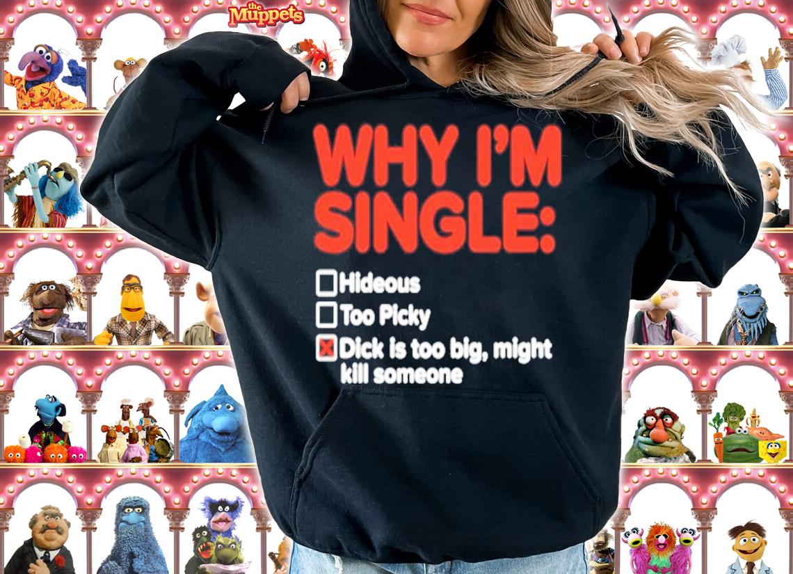 Why I'm single hideous too picky dick is too big might kill someone shirt t-shirt hoodie