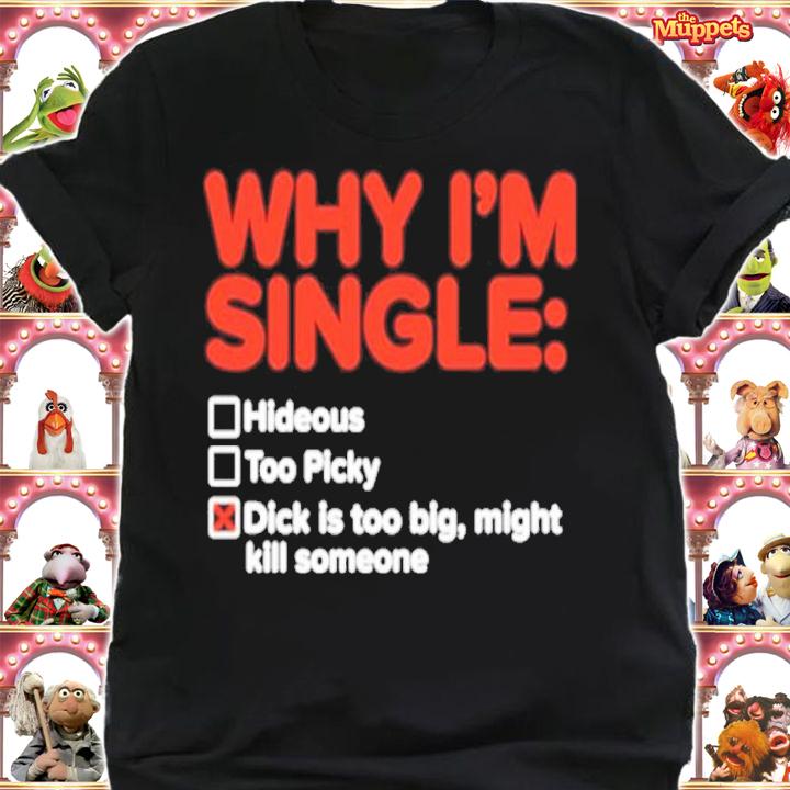 Why I'm single hideous too picky dick is too big might kill someone shirt t-shirt shirt
