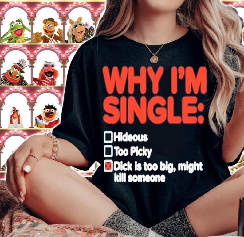 Why I'm single hideous too picky dick is too big might kill someone shirt t-shirt woman shirt