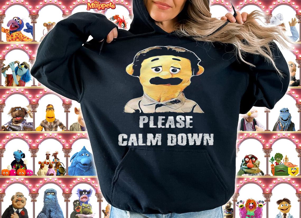 Awkward puppets please calm down shirt t-shirt hoodie