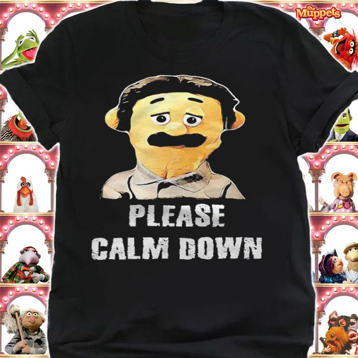 Awkward puppets please calm down shirt t-shirt shirt