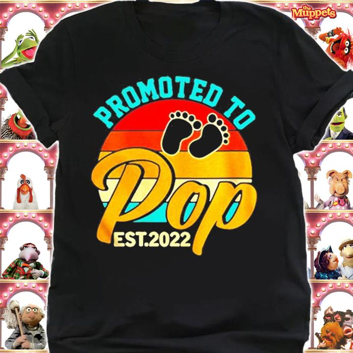 Promoted To Pop Est 2022 Fathers Day New Grandpa Vintage T-Shirt t-shirt
