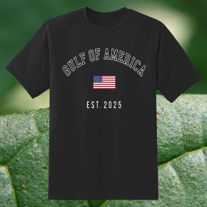 Gulf Of America Est 2025 American Flag Gulf Of Mexico T-Shirt