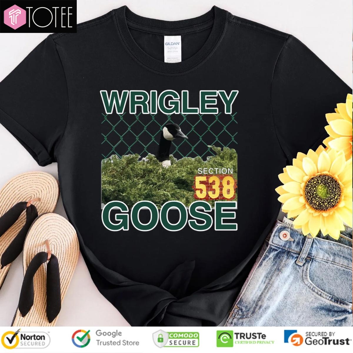 Shirt Shirt